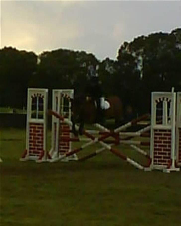 DSP Snit A-pony - Fra Egtved Rideklub i 2007 billede 12