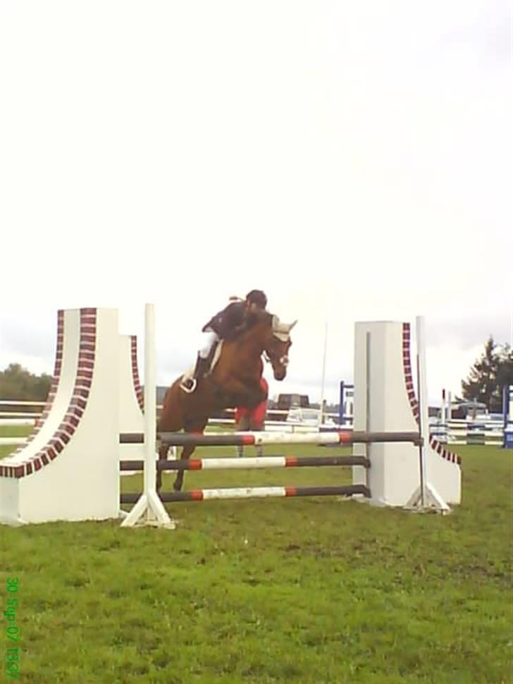 DSP Snit A-pony - Til distrikstmesterskabet 2007, hvor vi blev nr. 2 billede 13