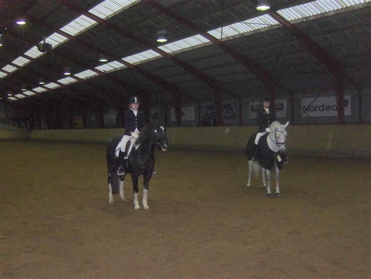 Pinto Nikita <3 - Nikita & Jeg Klubmesterskab 2009 2. plads, 6 dec 2009 billede 12