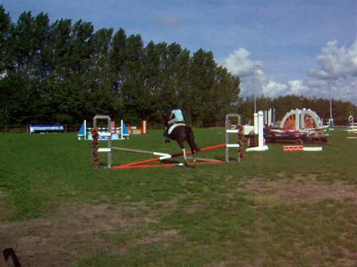 Pinto Nikita <3 - Spinger med Nikita 50-60 cm, sommeren 2008 billede 14