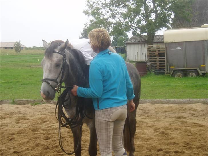 New Forest Firfod Jackpot billede 2