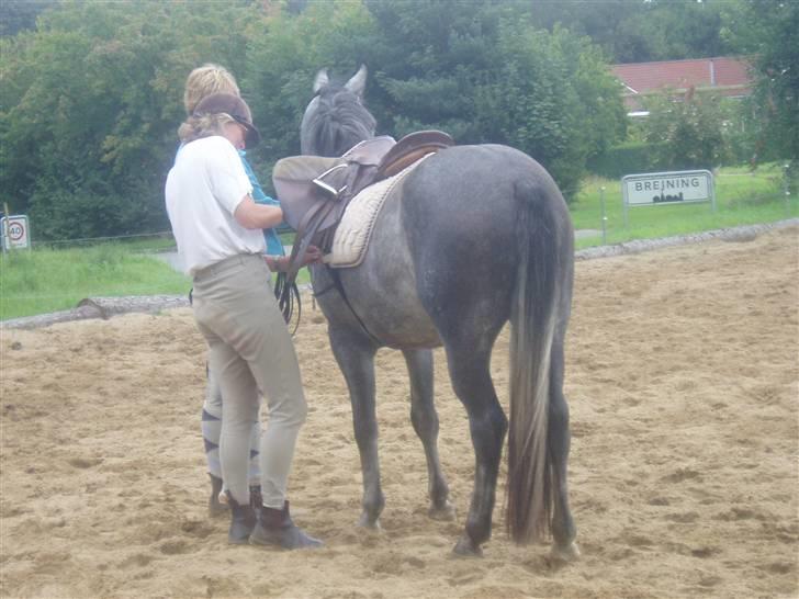 New Forest Firfod Jackpot billede 3