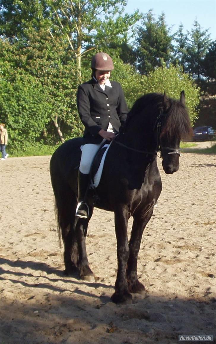 Frieser Dexter af Bjørnskov billede 6