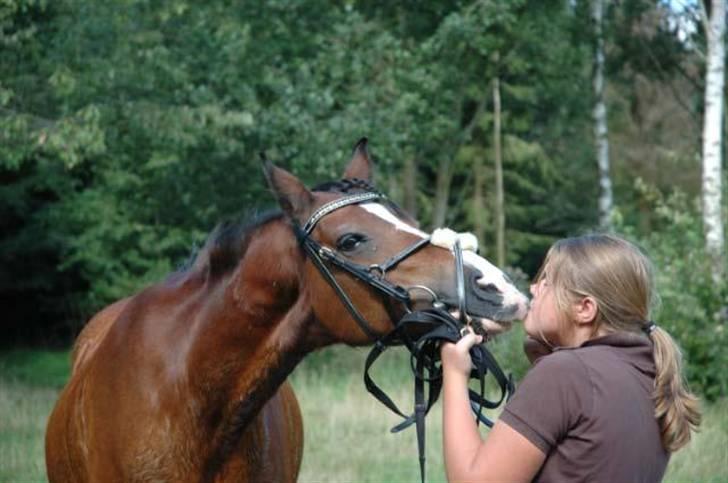 Anden særlig race Shaggy - FOTO: MCL foto tak :) billede 11