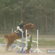 Anden særlig race Fabian