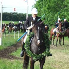 Anden særlig race black