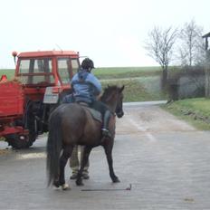 Anden særlig race black