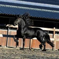 Frieser Suzanna Fan Beabuorren