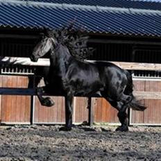 Frieser Suzanna Fan Beabuorren