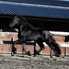 Frieser Suzanna Fan Beabuorren