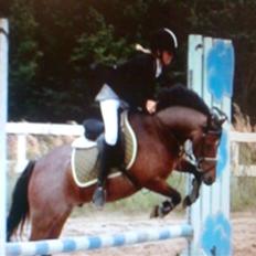 Welsh Mountain (sec A) Mr. Jones 