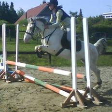 Knabstrupper Little one *gammel part* 