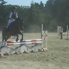 Anden særlig race Nike