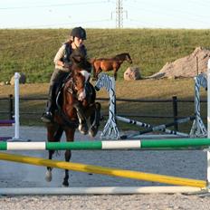 Tysk Sportspony Little Boy