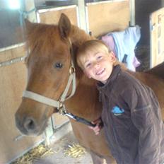 Shetlænder Hugo (ferrai)