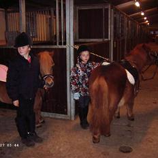 Shetlænder Hugo (ferrai)