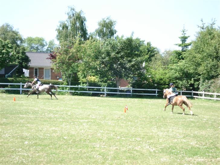 Sportsaraber (A) Miss Light - Æresrunde <3 !. Til Miss Light 2. Til Julie billede 11