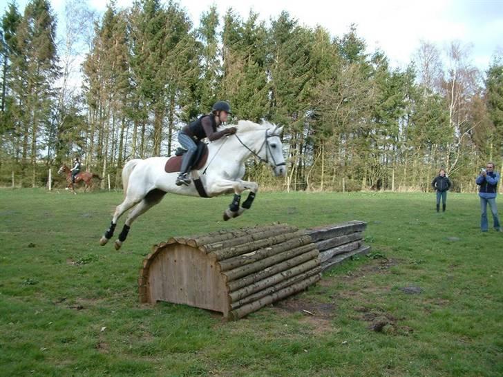 DSP sharon billede 2