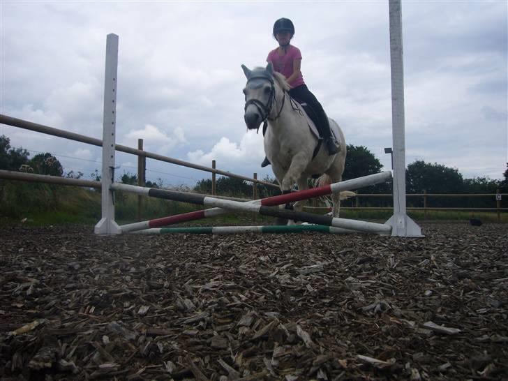 Anden særlig race casper - mig og dejlige casper springer<3 billede 1