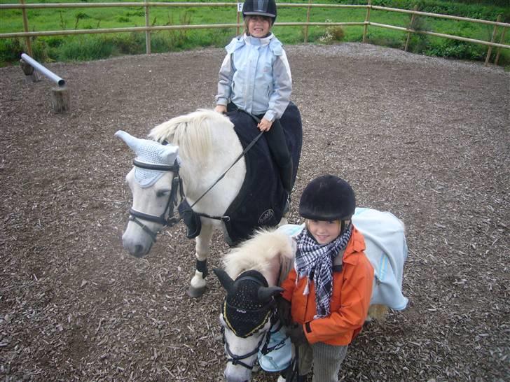 Anden særlig race casper - casper og mig og jolly og josephine billede 2