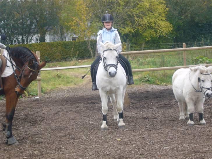 Anden særlig race casper - så rider vi!!!! billede 3