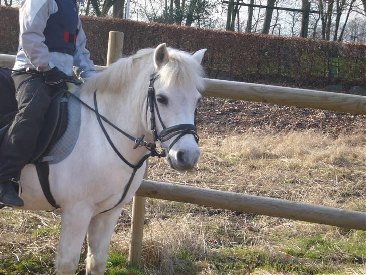 Anden særlig race casper - på ride banen<3 billede 8