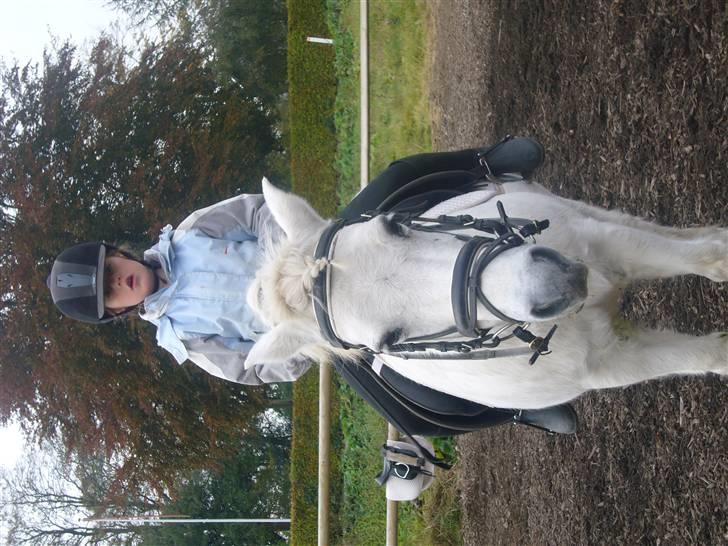 Anden særlig race casper billede 10