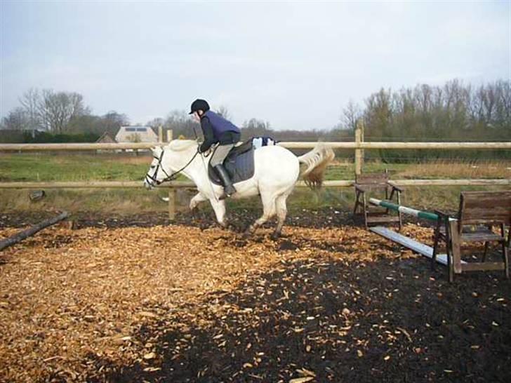 Anden særlig race casper billede 11