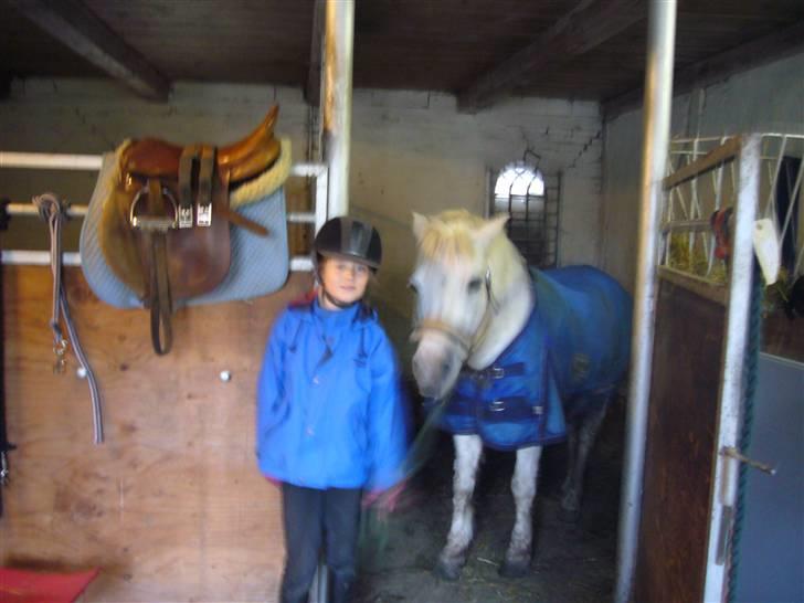 Anden særlig race casper billede 13