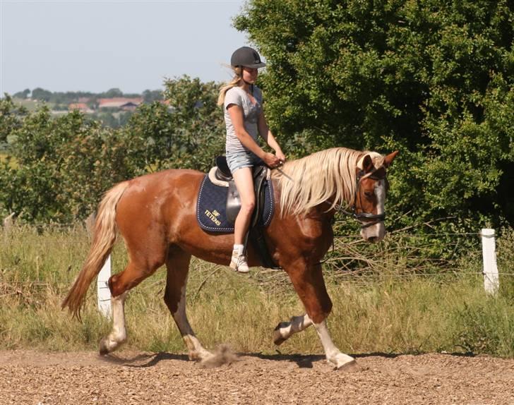 Frederiksborg | Elstedgaards Emilie - D. 4/5 - Tanja rider Emilie - foto; mig :) billede 11