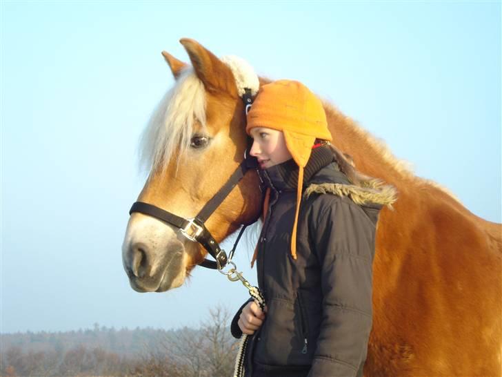 Haflinger Madsinie Stardust -  madsinie og jeg en kold vinter dag <´33 billede 6