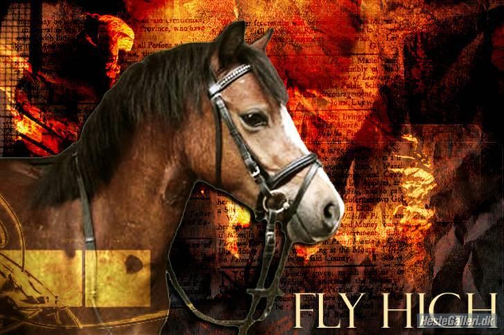 Anden særlig race Mr. Fly High  - tak fordi i kiggede forbi :) giv gerne charmetrolden en bedømmelse og en kommentar evt. :) billede 20