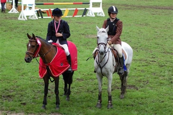 Hollandsk Sportspony Sheik  (SOLGT) - Sheik og Zelina distriktsmester 2006 billede 16