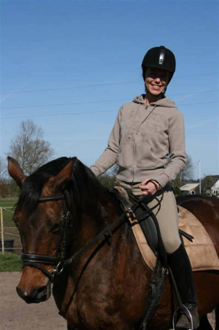 Trakehner Kastanje billede 10