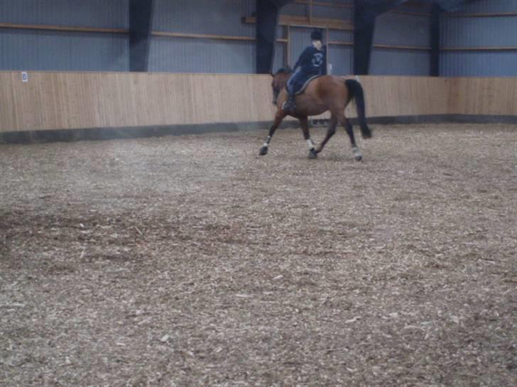 Oldenborg Cornando billede 3