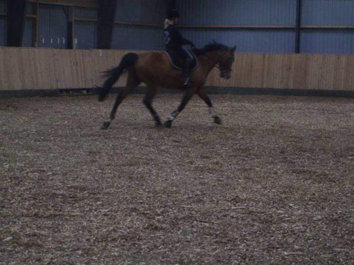 Oldenborg Cornando billede 4