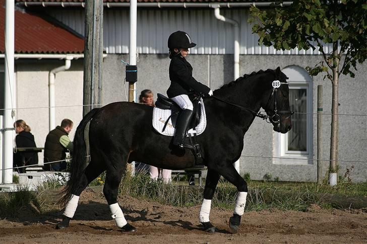 Anden særlig race Bailando "Frederik/Frede" - Udv. klubstævne SKO - LE : Laura og Frede fik en fiin anden plads  billede 19