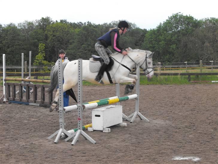 Knabstrupper Little one *gammel part*  - springer ude på little one;b 2009 billede 10