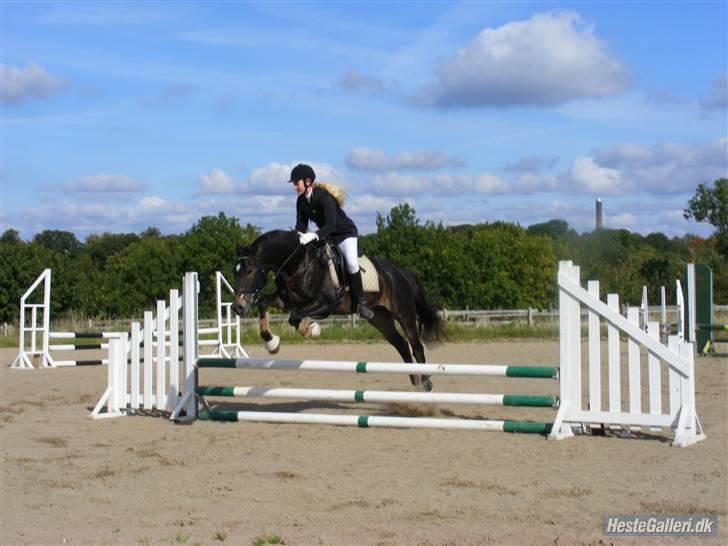 Oldenborg Valentino - Valentinos lidt sjove springmetoder :) billede 19