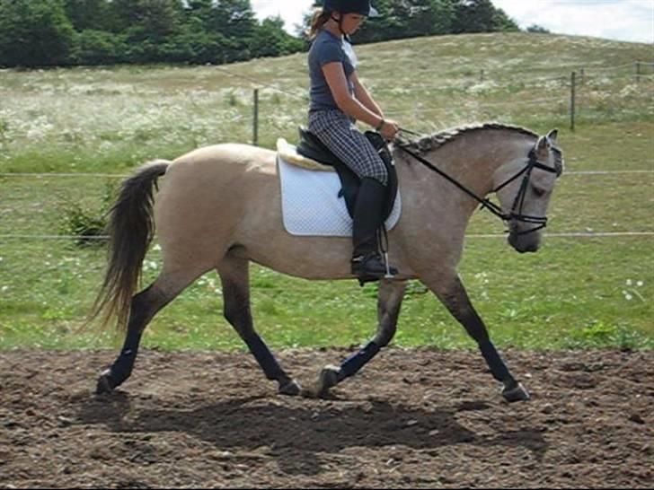 Anden særlig race Bianca (Solgt) billede 18