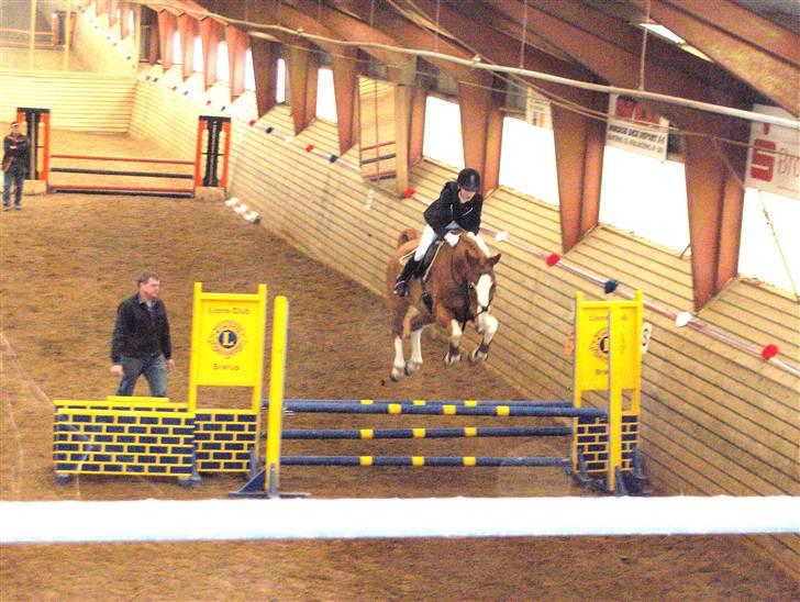 Dansk Varmblod Grafitti Zantio - hvem sagde højdespring????? billede 9