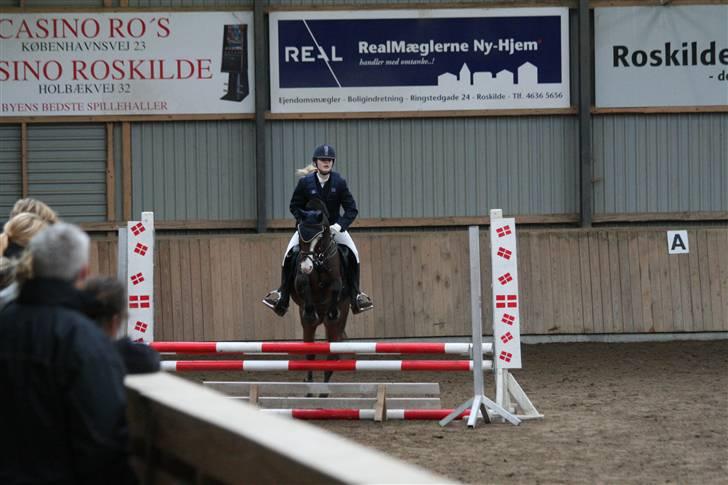 Tysk Sportspony Little Boy - haha xD  billede 6