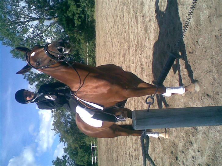 Dansk Varmblod CA-VA <3 R.I.P :'( - ca-va med hendes AAAlt for store pandebånd, til hendes første stævne hvor vi blev nummer et :) billede 9