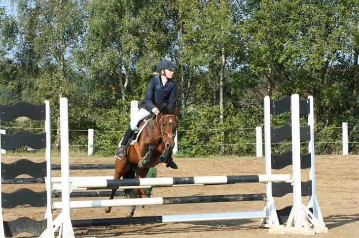 Anden særlig race | Star <3 My Love <3 - Dejligste skatte pigen <3 billede 13