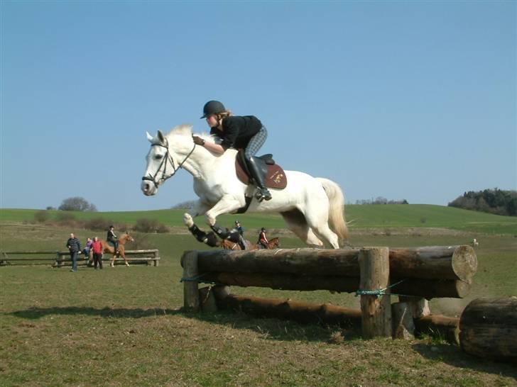 DSP sharon billede 7