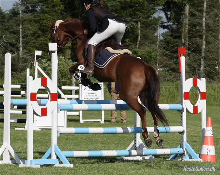 Welsh Pony (sec B) Creekmanns Cherie - uhh, farlig bom.<3 elsk på dig pony :´) billede 7