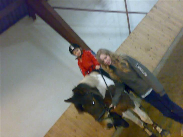 Anden særlig race spirit (tidliger part) :) - de er søde...  billede 19