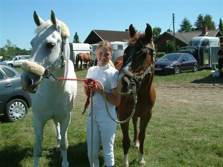 DSP sharon billede 11