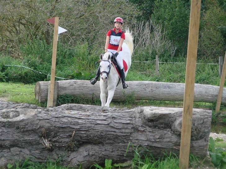 DSP sharon billede 12