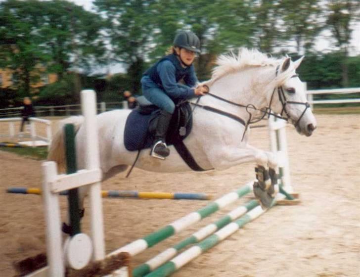 Anden særlig race Mathilde (Pensioneret) - Jeg springer lidt på Malle<3 billede 9